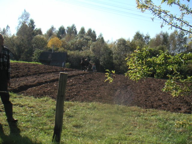 ploughingthefields.jpg