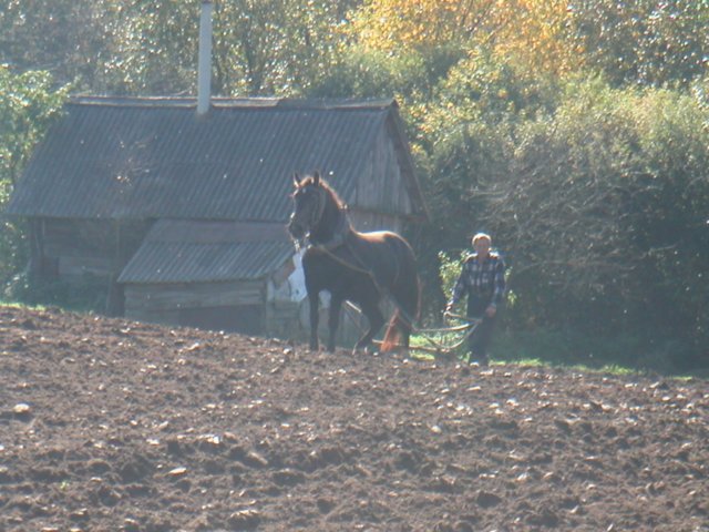 ploughingthefields2.jpg